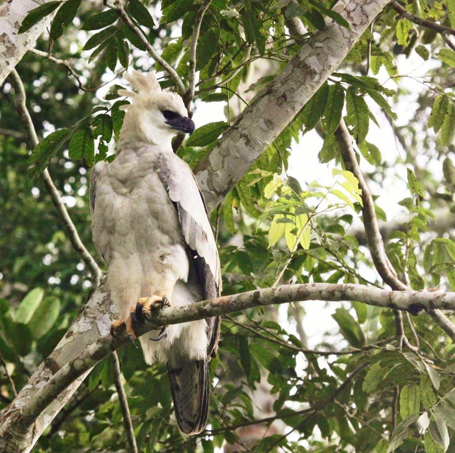 Wasai Tambopata Lodge Exteriér fotografie