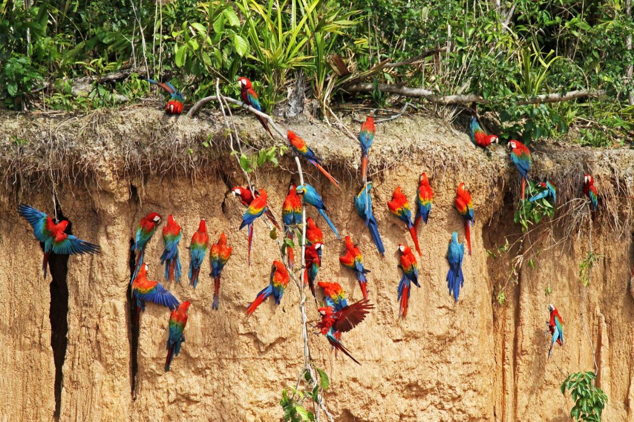 Wasai Tambopata Lodge Exteriér fotografie