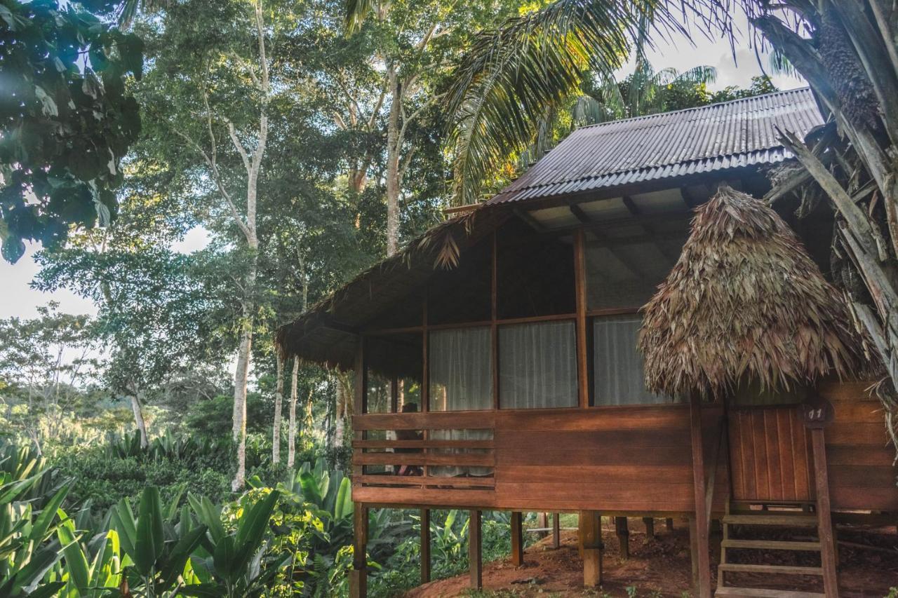 Wasai Tambopata Lodge Exteriér fotografie