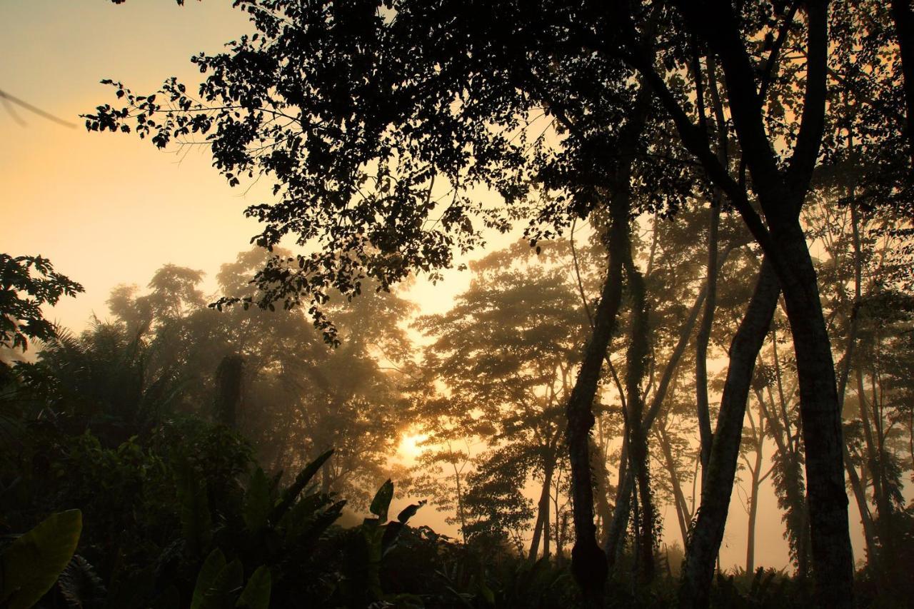 Wasai Tambopata Lodge Exteriér fotografie